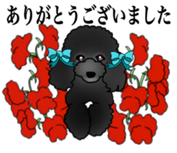 COO-chan 2 : Black Toy Poodle sticker #15690305
