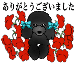 COO-chan 2 : Black Toy Poodle sticker #15690305