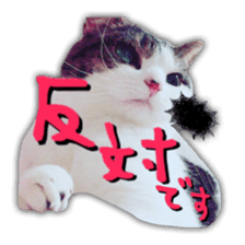 pretty cat blue eye sticker #15696623