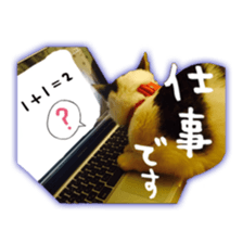 pretty cat blue eye sticker #15696625