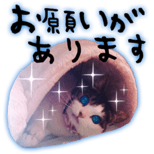 pretty cat blue eye sticker #15696644