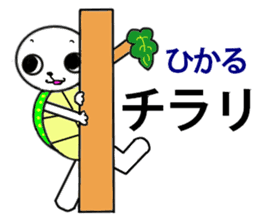 the turtle named hikaru sticker #15697602