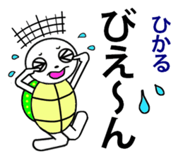 the turtle named hikaru sticker #15697607