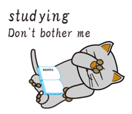 500 cats 4-210e-1 sticker #15697802