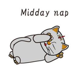 500 cats 4-210e-1 sticker #15697810