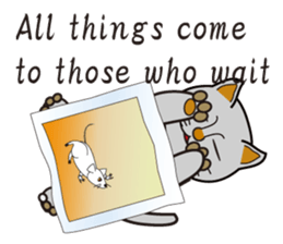 500 cats 4-210e-1 sticker #15697813