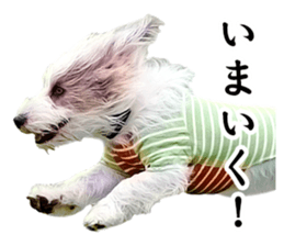 Rope & Buono sticker #15699859