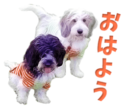 Rope & Buono sticker #15699872