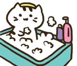 xiao pang meow sticker #15701421