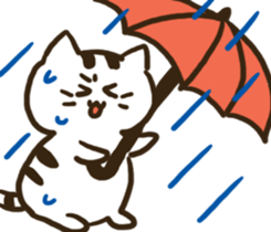 xiao pang meow sticker #15701432