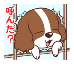 The Cavalier King Charles Spaniel Dog 3. sticker #15703445