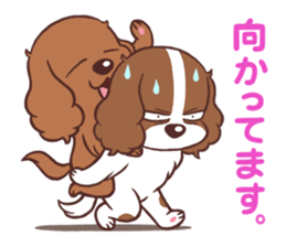 The Cavalier King Charles Spaniel Dog 3. sticker #15703458