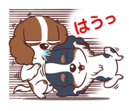 The Cavalier King Charles Spaniel Dog 3. sticker #15703461