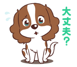 The Cavalier King Charles Spaniel Dog 3. sticker #15703466