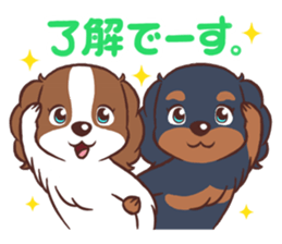 The Cavalier King Charles Spaniel Dog 3. sticker #15703473