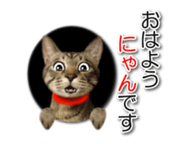 KOTETU sticker #15706618