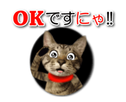 KOTETU sticker #15706619