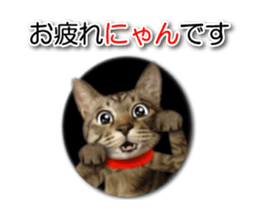 KOTETU sticker #15706620