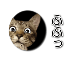 KOTETU sticker #15706621