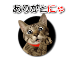 KOTETU sticker #15706622