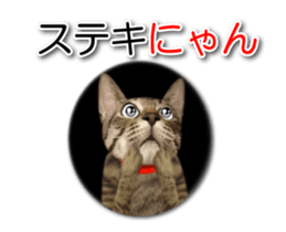 KOTETU sticker #15706623