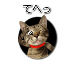 KOTETU sticker #15706625