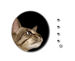 KOTETU sticker #15706626