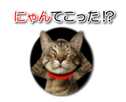 KOTETU sticker #15706631