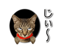 KOTETU sticker #15706632