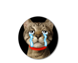 KOTETU sticker #15706634