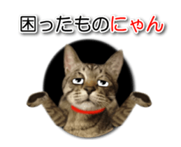 KOTETU sticker #15706637