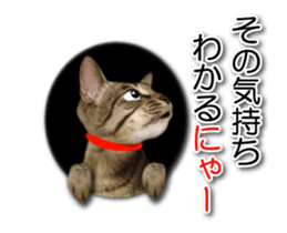 KOTETU sticker #15706638