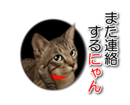 KOTETU sticker #15706639
