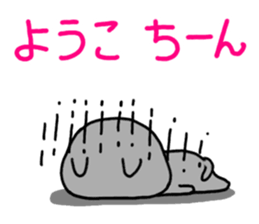 Yoko dedicated Sticker sticker #15706864