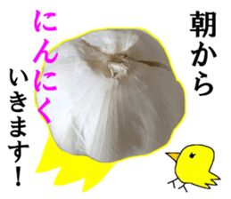 Garlic garlic sticker #15709082