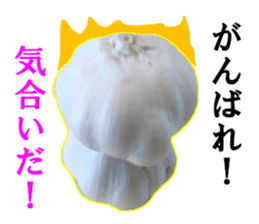 Garlic garlic sticker #15709087