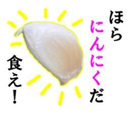 Garlic garlic sticker #15709094