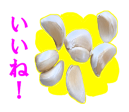 Garlic garlic sticker #15709098
