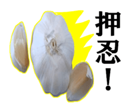 Garlic garlic sticker #15709099