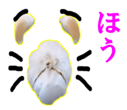 Garlic garlic sticker #15709104