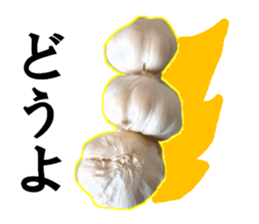 Garlic garlic sticker #15709105