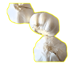 Garlic garlic sticker #15709108
