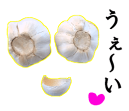 Garlic garlic sticker #15709109