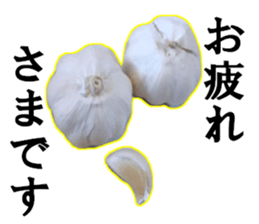 Garlic garlic sticker #15709111