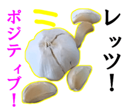 Garlic garlic sticker #15709112