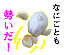 Garlic garlic sticker #15709113