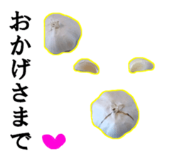 Garlic garlic sticker #15709114