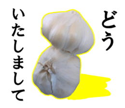 Garlic garlic sticker #15709115
