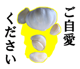 Garlic garlic sticker #15709116