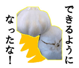 Garlic garlic sticker #15709117